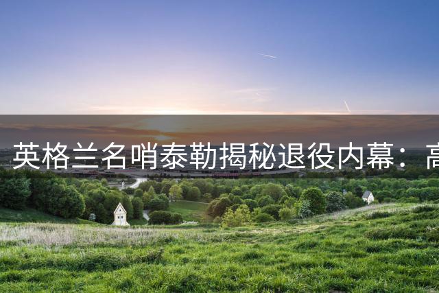 英格兰名哨泰勒揭秘退役内幕：高压环境与外界攻击促其挂哨